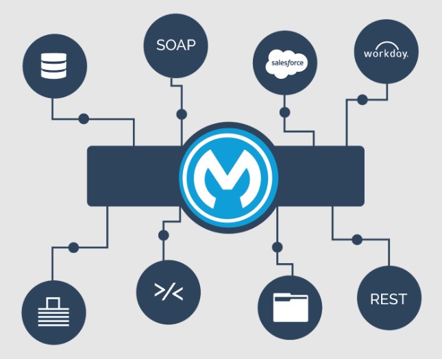 Mulesoft-everything-you-need-to-know-about-this-technology