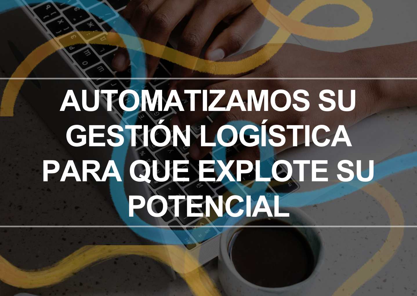 software de manejo logistico