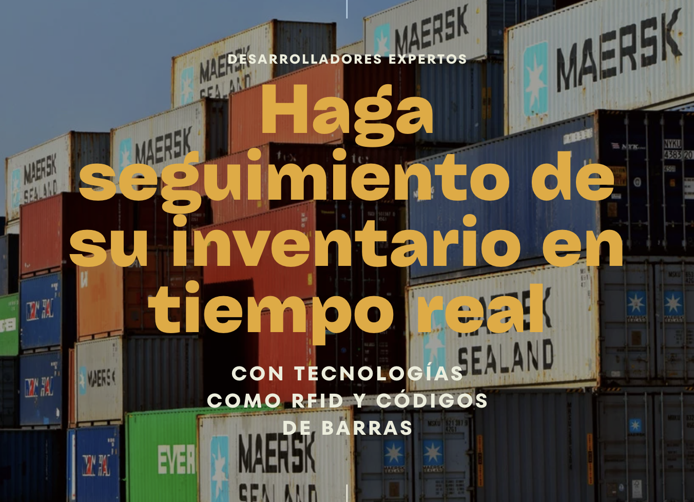 soluciones de software logistico