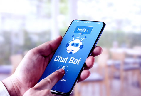 Chatbot Development