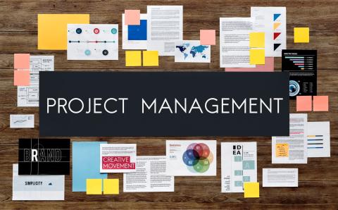 project management